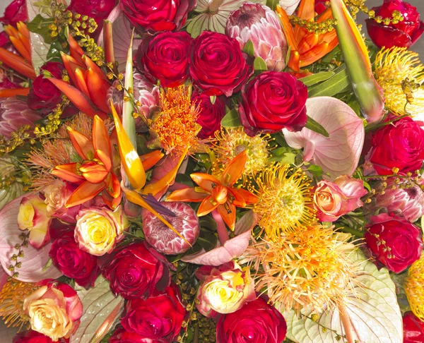 Vackra blomsterarrangemang — Stockfoto