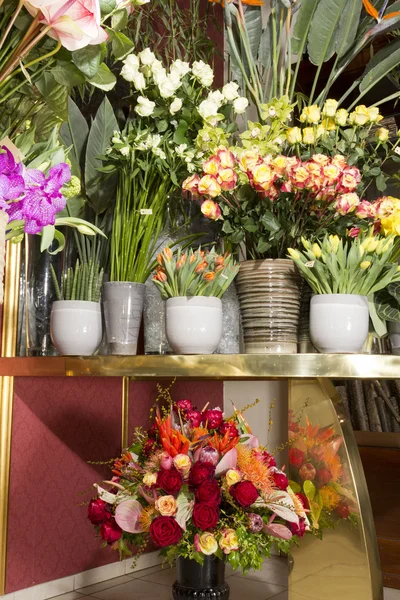 Красиві барвисті квіти в квітковому магазині — стокове фото