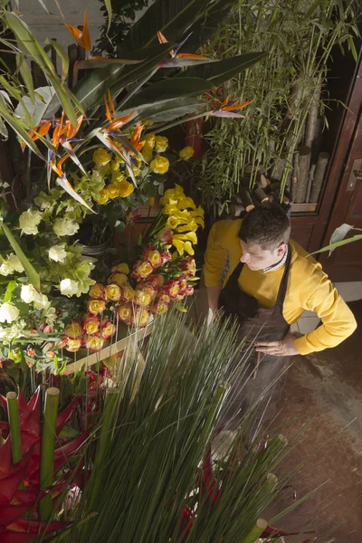 Florist arranging fresh flowers — Stock Photo, Image