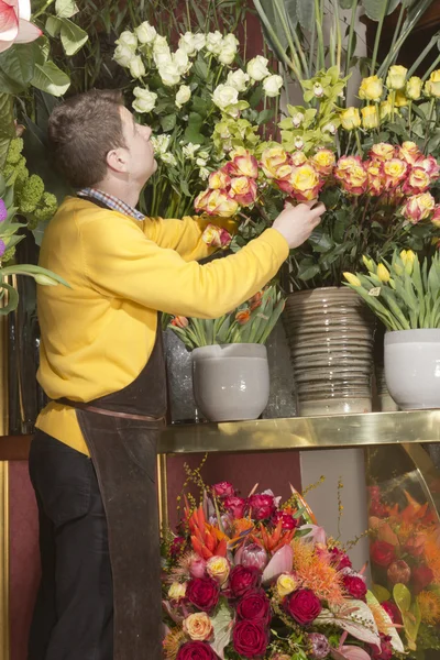 Florista organizar flores frescas — Fotografia de Stock