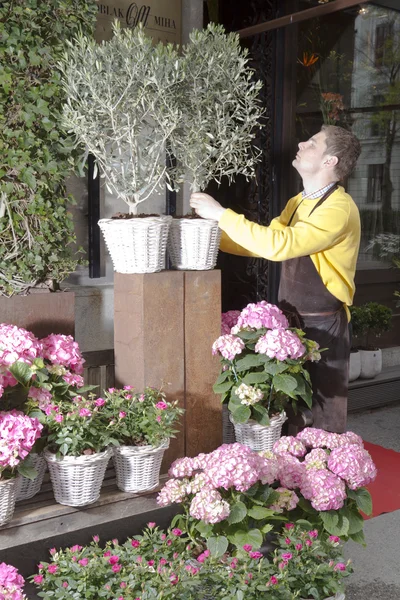 Флорист організовує свіжі квіти — стокове фото