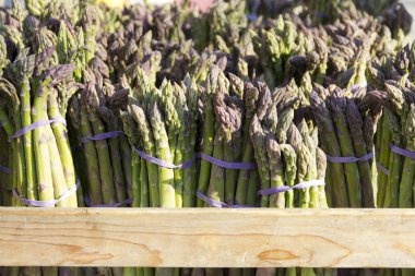 Organic fresh wild asparagus clipart
