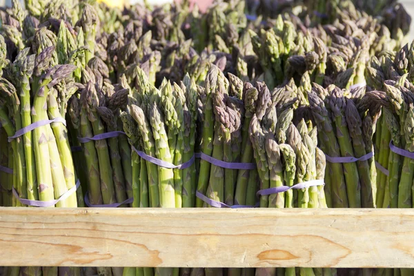 Organic fresh wild asparagus — Stock Photo, Image