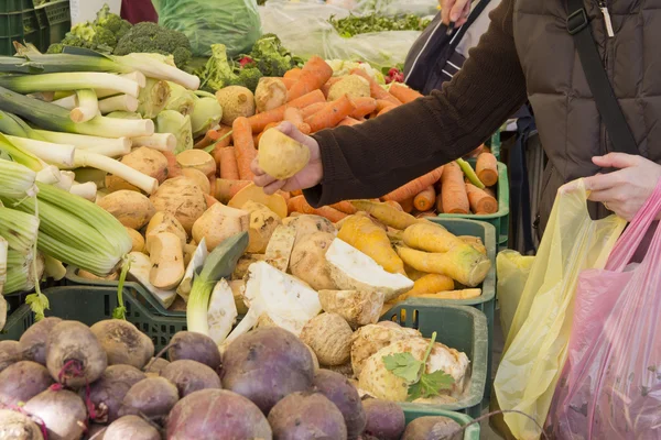 Picking organic vegetables on market — Stock Photo, Image