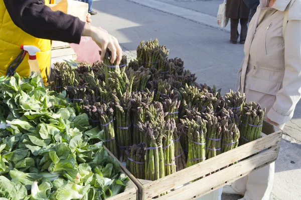 Подбор органических овощей на рынке — стоковое фото