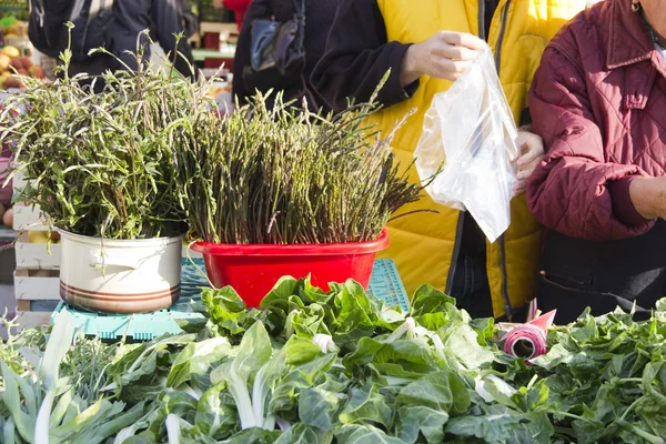 Sprzedaż ekologicznych warzyw na rynku — Zdjęcie stockowe