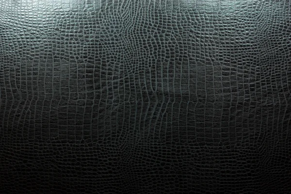 Deri dokusu siyah — Stok fotoğraf