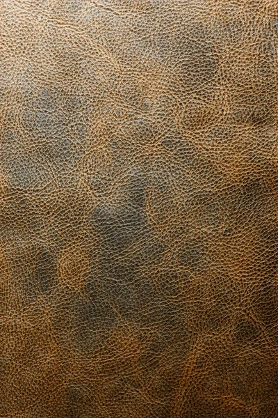 Läder texture brun — Stockfoto