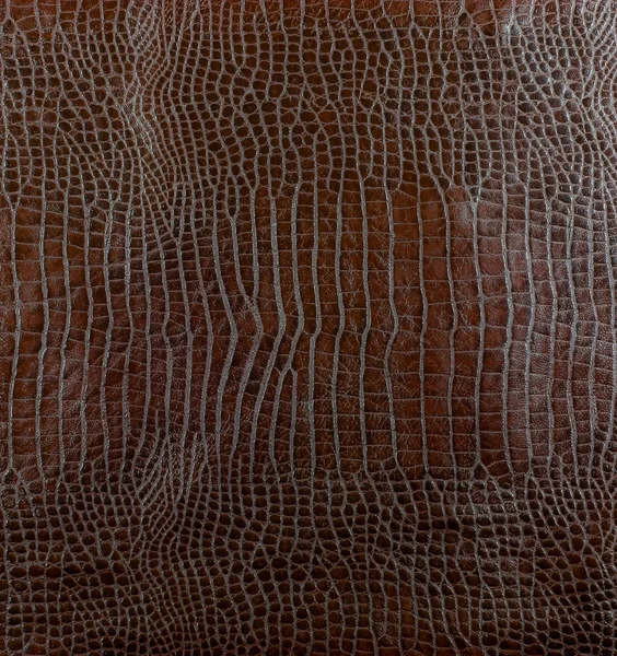Deri timsah — Stok fotoğraf
