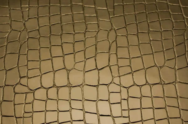 Timsah deri desenli kahverengi zemin — Stockfoto