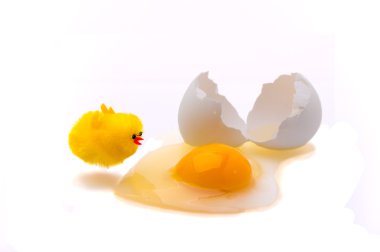 Aileninde yumurta açık (2)