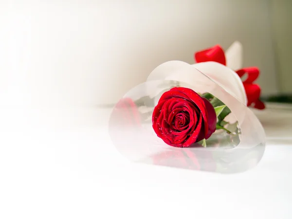 Dobrze róża Zdjęcie Stockowe