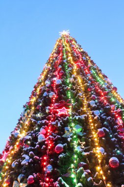 Noel ağacına mavi gökyüzü