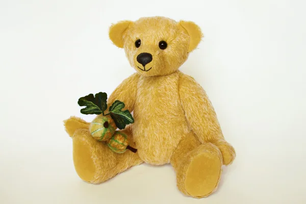 Cute teddy bear with gooseberries — Stock Photo, Image