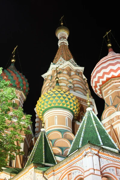 Saint Basil's Cathedral in the night with the tree — Stock Photo, Image