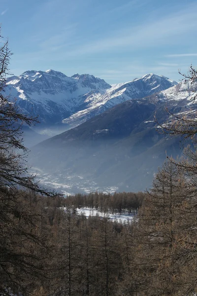 Haze in the mountain vale(vertical) — Stock Photo, Image