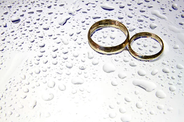 Wedding rings with drops — Stock Photo, Image
