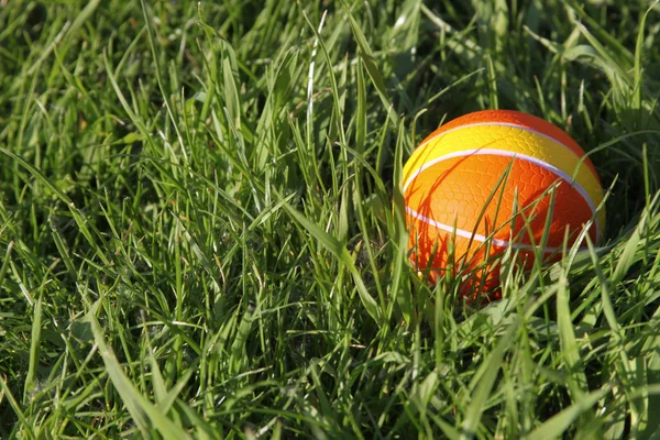풀밭에서 작은 오렌지 공 — 스톡 사진