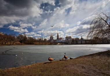 Novodevichy monastery.moscow, Rusya Federasyonu