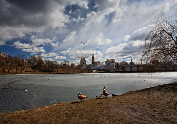 stock image Novodevichy Monastery.Moscow, Russia