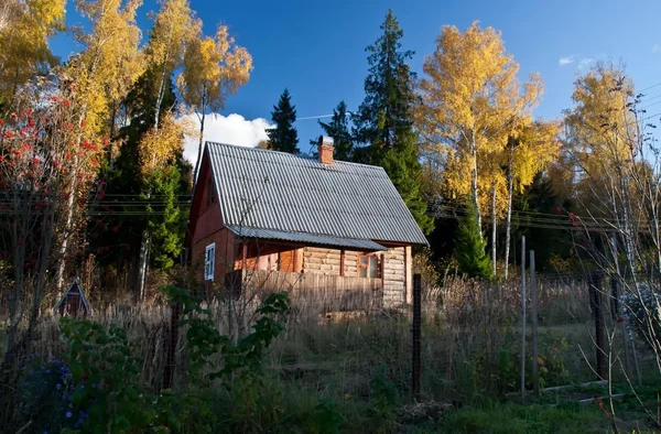 Huis in het bos — Stockfoto