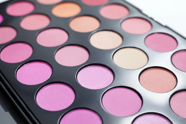 Blush palette. — Stockfoto