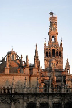 seville giralda