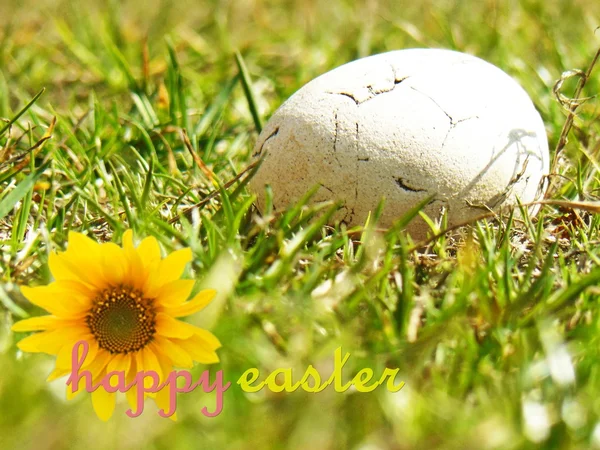 Великодні яйця на траві і бажання — стокове фото