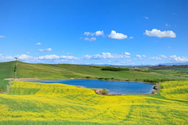 Toscana, Creta Senesi paisaje, Italia. Pequeño lago verde amarillo — Foto de Stock