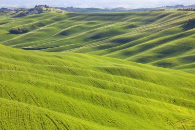 Toskana günbatımı Girit senesi kırsal landsca dalgalı arazi