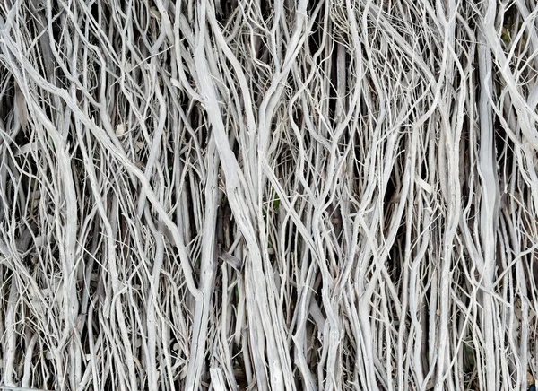 Sušené větvičky prokládané texturu dřeva vzorek pozadí tapetu — Stock fotografie