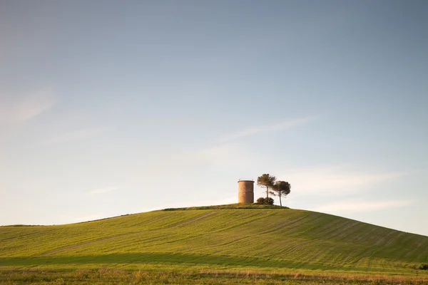 Tuscany, tower of Magona. — Stock Photo, Image