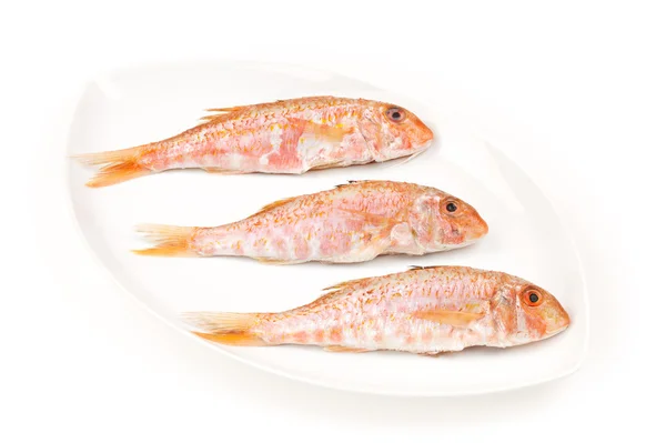Beyaz oval tabak üzerinde üç kırmızı kefal balık — Stok fotoğraf