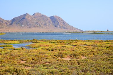 Endülüs, manzara. tuz daireler, flamingolar, parque cabo de gata