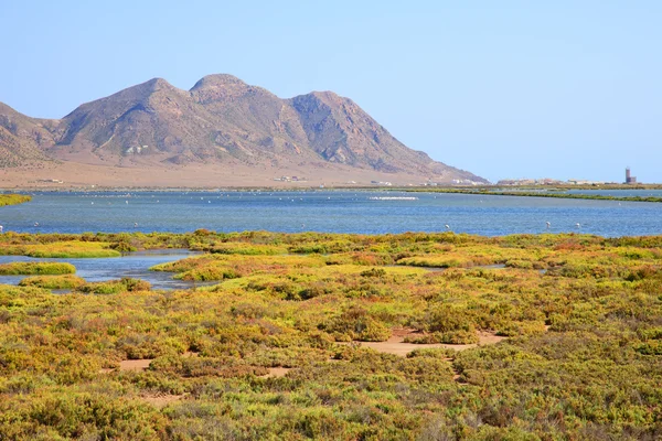 Андалусия, пейзаж. Salt flats, flamingos, Parque Cabo de Gata — стоковое фото