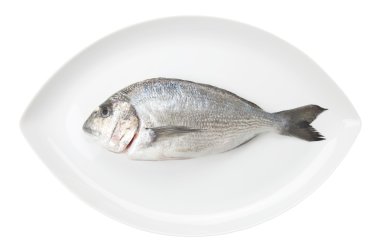 Beyaz oval tabak üzerinde Dorada deniz ürünleri. çipura balığı.