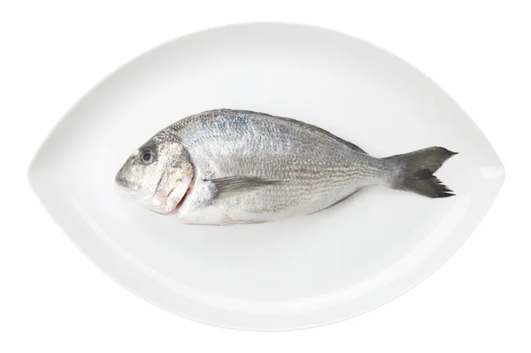 Dorada sjømat på en hvit, oval rett. Breamfisk . – stockfoto