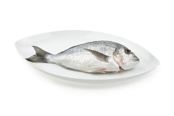 stock image Dorada seafood on white elliptic plate with shadow. Bream fish.