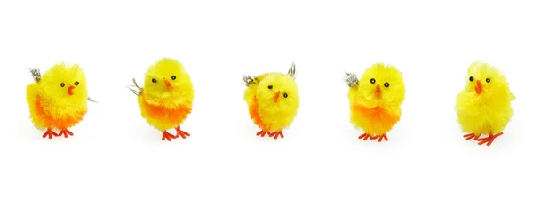 stock image Easter cute yellow chicks for seasonal decoration.