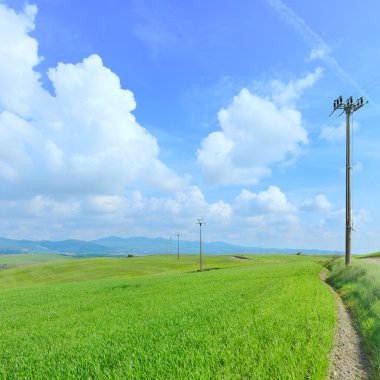 elektrik hattı, yeşil alan ve hafif bulutlu mavi gökyüzü