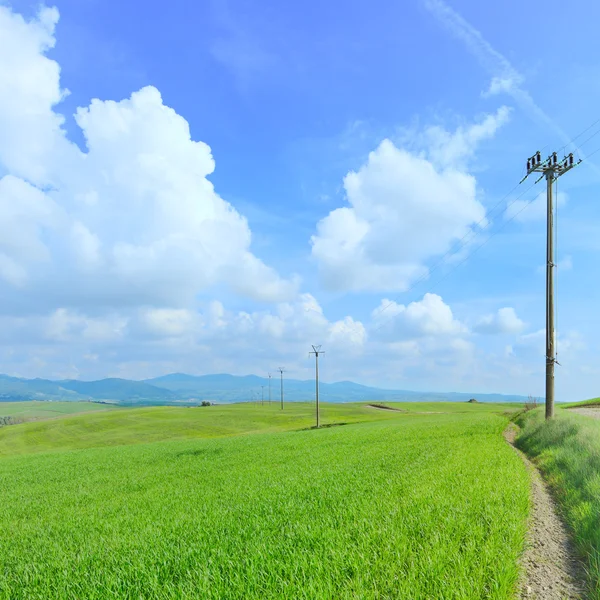 Linię wysokiego napięcia, zielone pola i lekkie zachmurzenie błękitne niebo — Zdjęcie stockowe