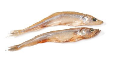 Dried fish, smelt clipart