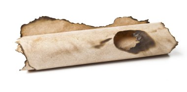 Roll old paper on a white background clipart