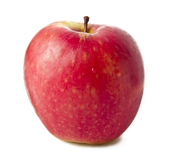 Olgun Kırmızı elma. Beyaz bir arka plan üzerinde izole. — Stok fotoğraf