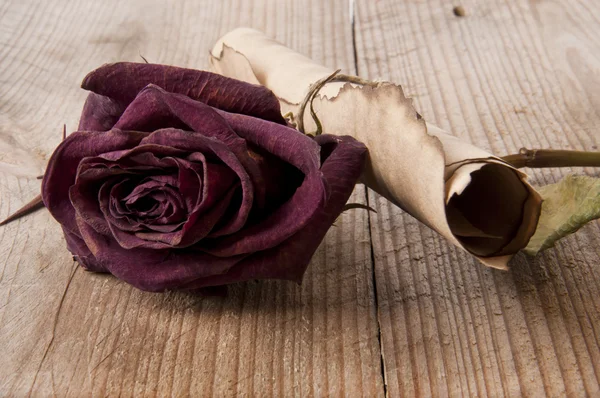 Rosas secas y un viejo rollo de la vieja mesa — Foto de Stock
