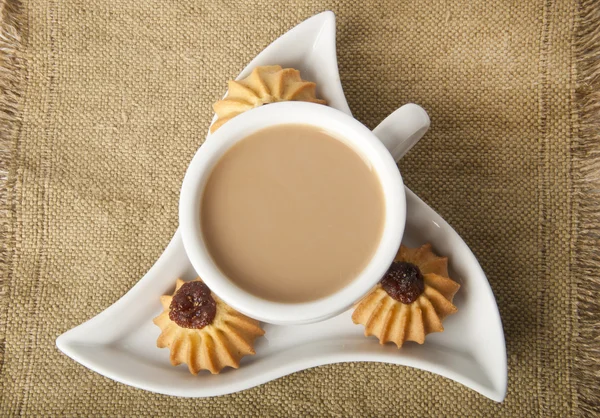 Cup of cocoa and cookies — Stock Photo, Image