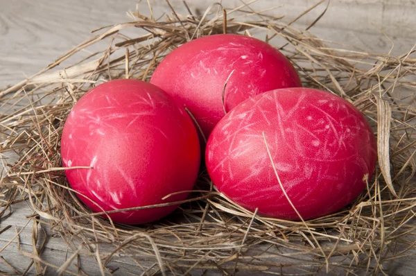 stock image Easter Eggs