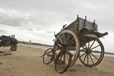 Vintage sicilian cart clipart