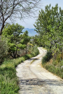 Sicilyalı köy yolunda