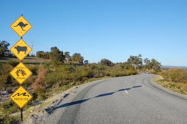 Avustralya yol işaretleri — Stok fotoğraf